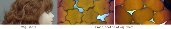 Polymer Processing Lab1